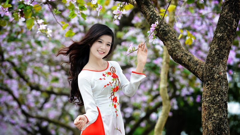 Woman in ao dai under blossoming tree