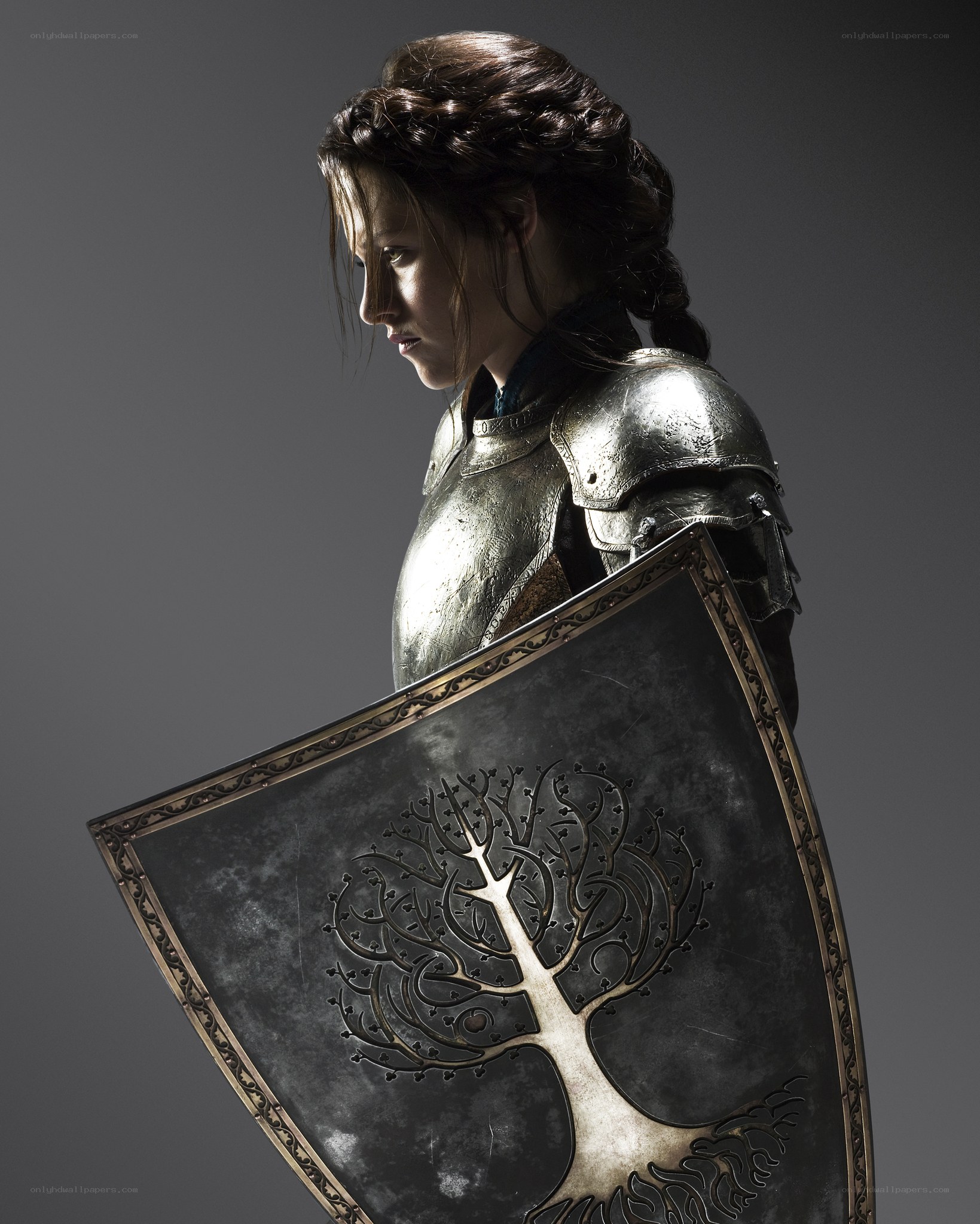 woman in armor with shield