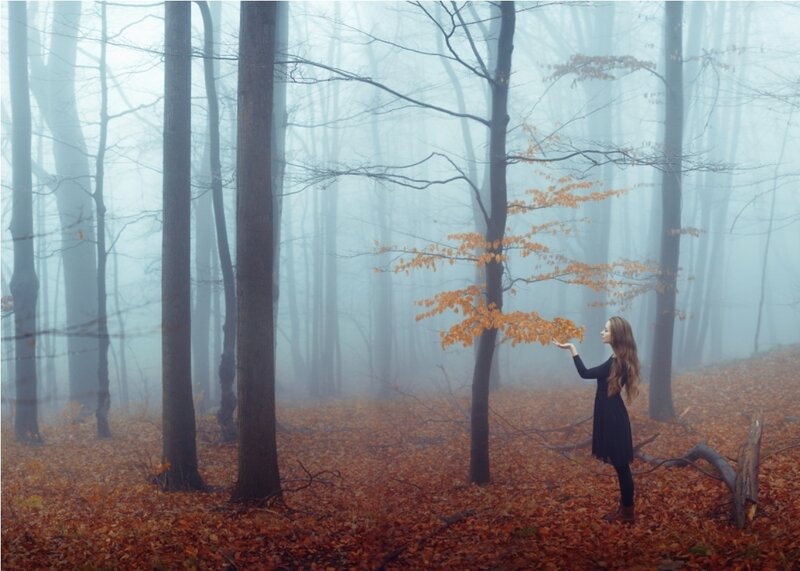 Woman in Autumn Forest — Brown, Misty