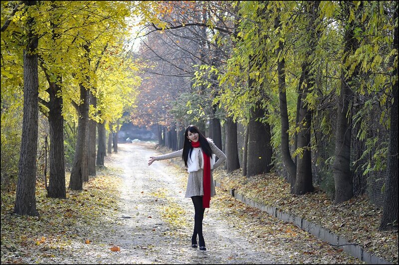 Woman in autumn park