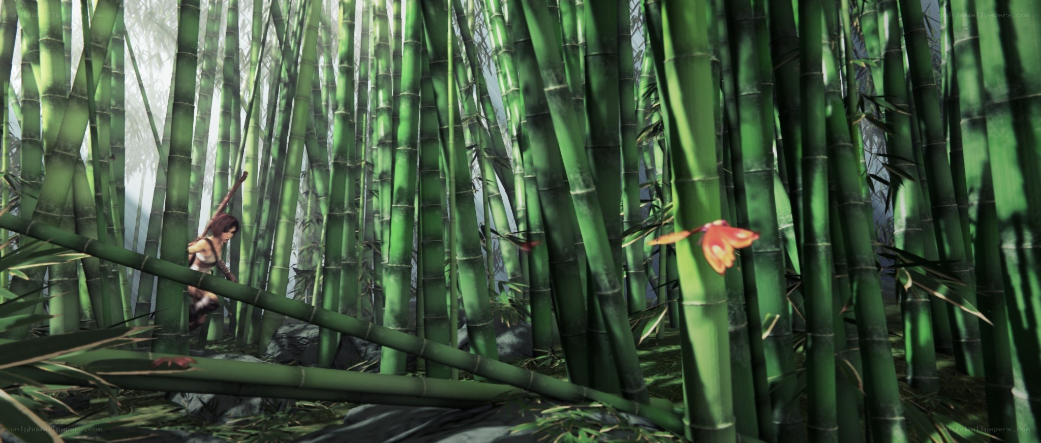 Woman in bamboo forest
