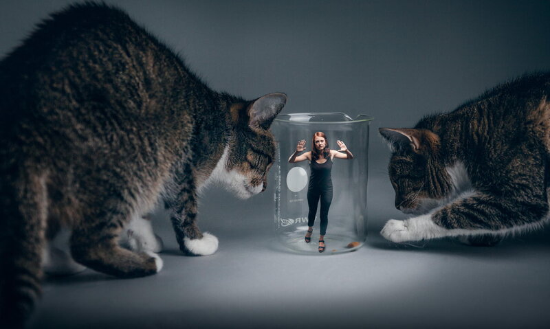 Woman in Beaker with Cats