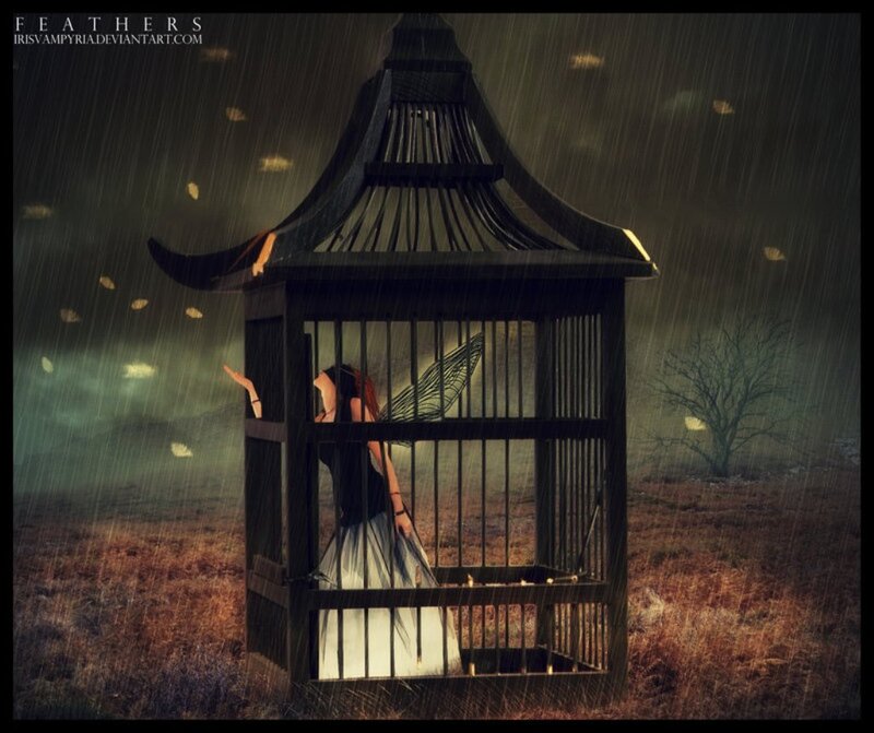 Woman in Birdcage — Black