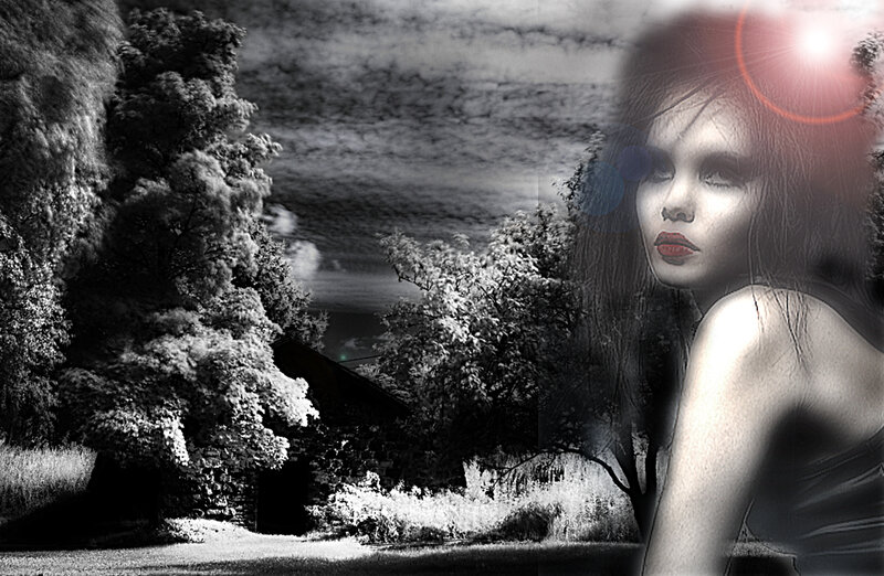 Woman in Black and White — Dramatic, Night, Digital Art