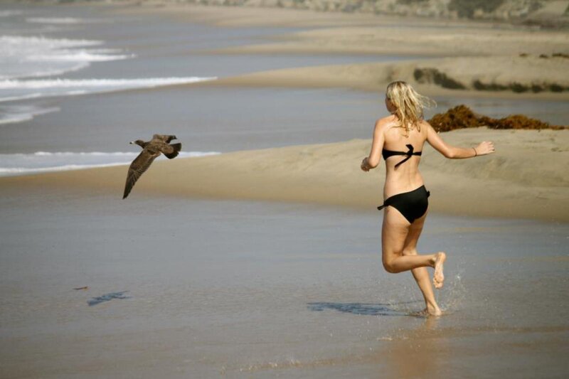 Woman in Black Bikini — Brown, Active