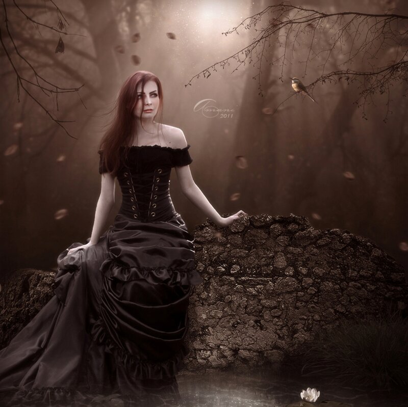 Woman in Black Dress — Brown, Dramatic, Autumn, Digital Art, Bird