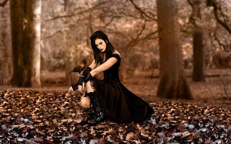 Woman in Black Dress — Brown, Dramatic, Autumn, Photograph