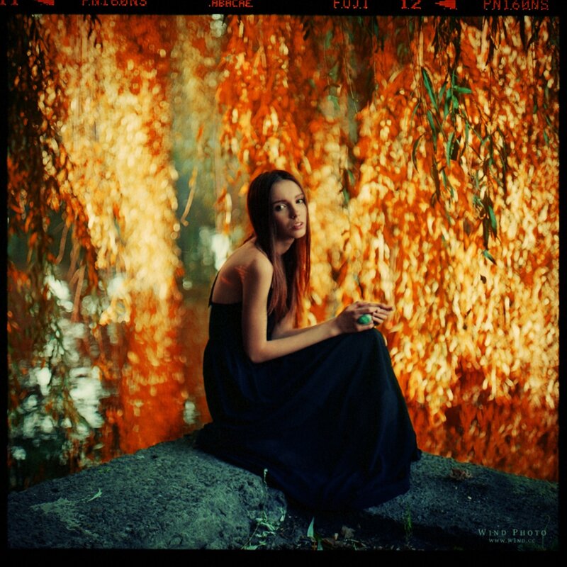 woman in black dress by autumn trees