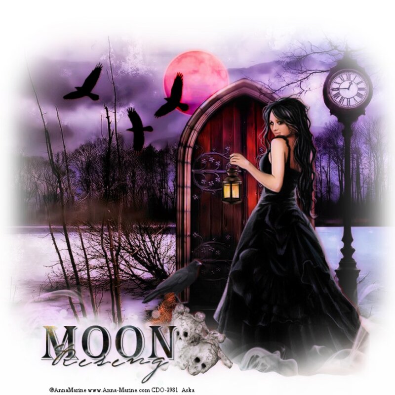 Woman in Black Dress — Dark, Night, Digital Art, Crows, Moon