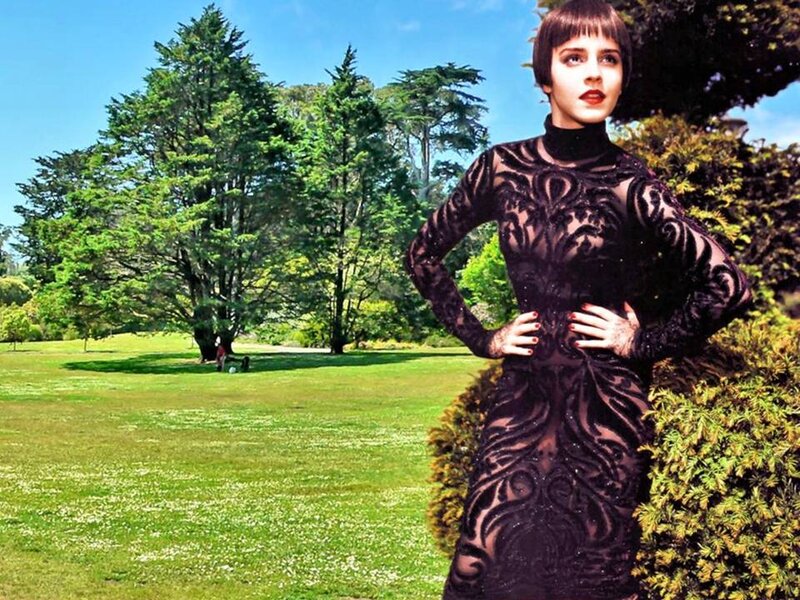 Woman in Black Dress — Dramatic, Afternoon, Photograph, Trees