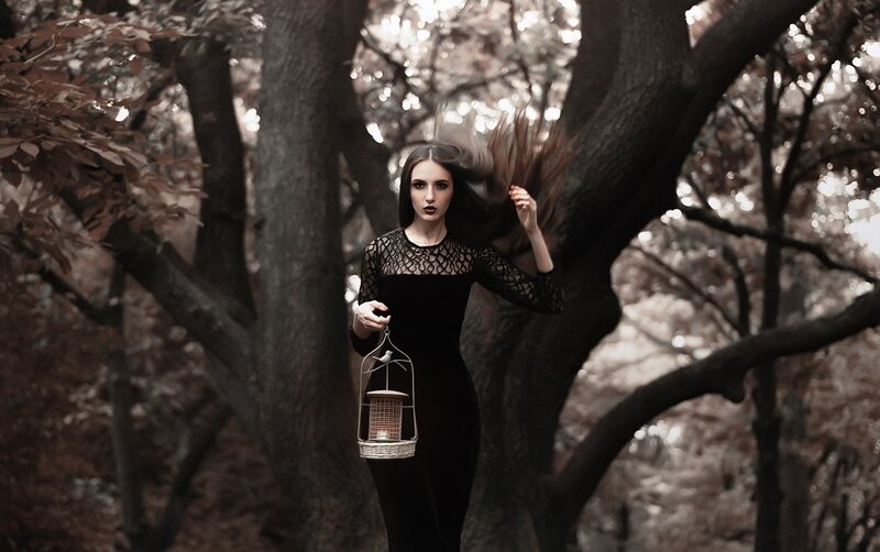Woman in Black Dress — Dramatic, Autumn, Photograph, Tree