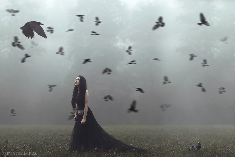 Woman in Black Dress — Dramatic, Digital Art, Birds, Field