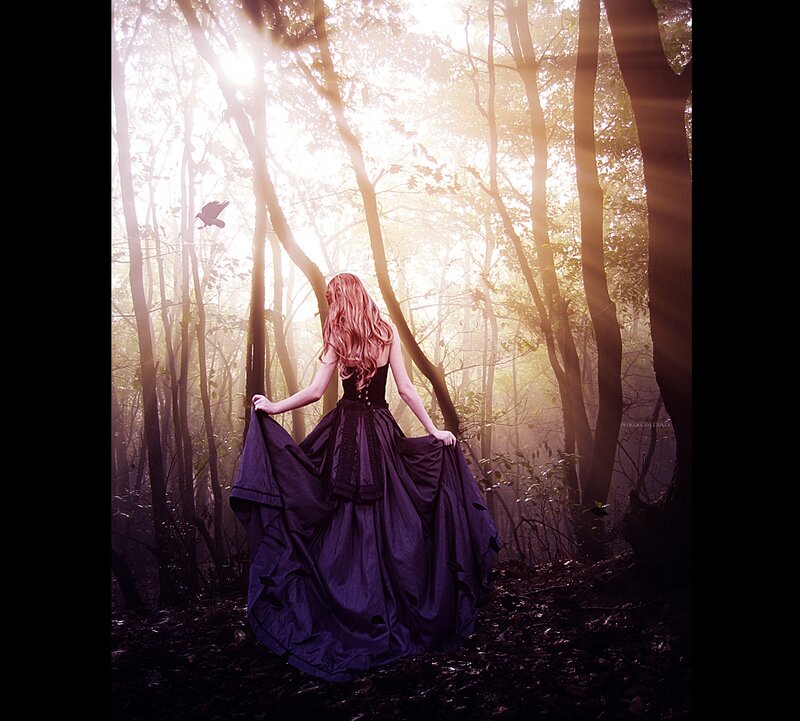 Woman in Black Dress — Dramatic, Morning, Photograph