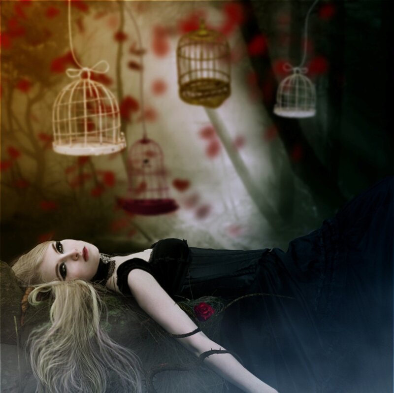 Woman in Black Dress — Dramatic, Night, Digital Art, Birdcages