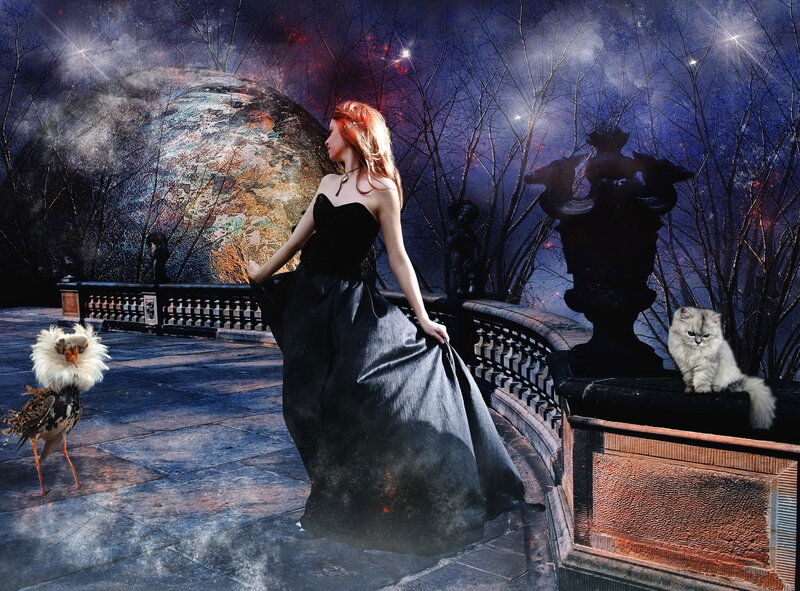 Woman in Black Dress — Dramatic, Night, Digital Art, Cat, Bird