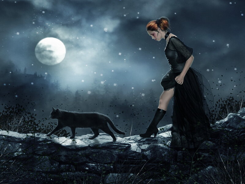 Woman in Black Dress — Dramatic, Night, Digital Art, Cat, Moon, Rocks