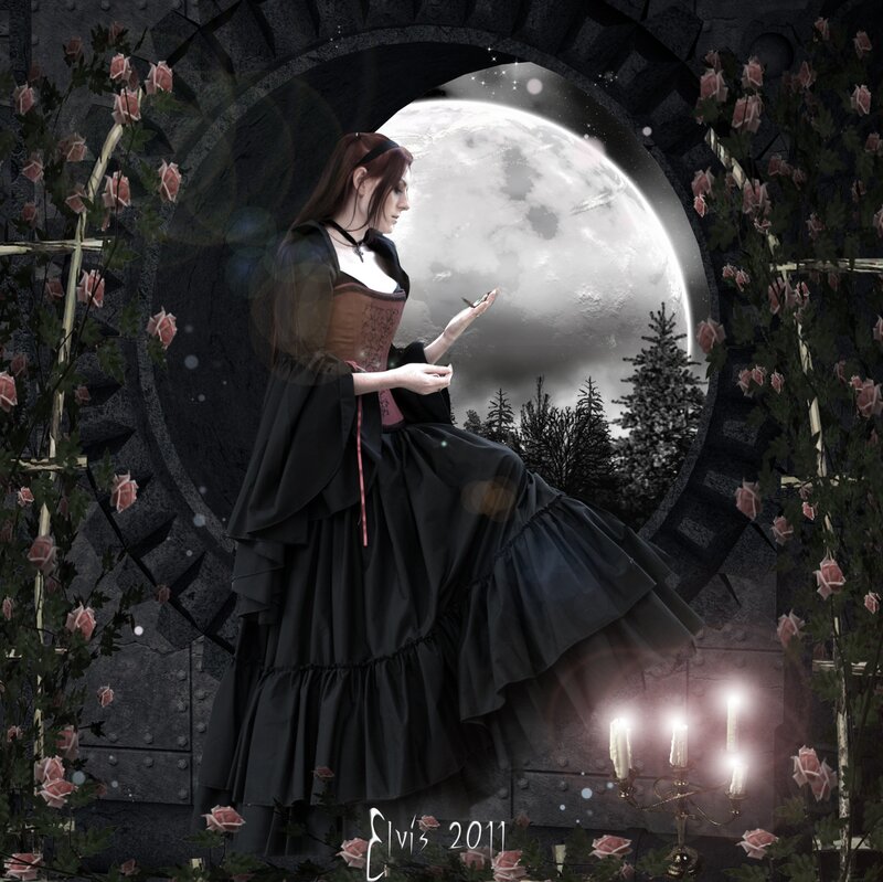 Woman in Black Dress — Dramatic, Night, Digital Art, Moon, Roses