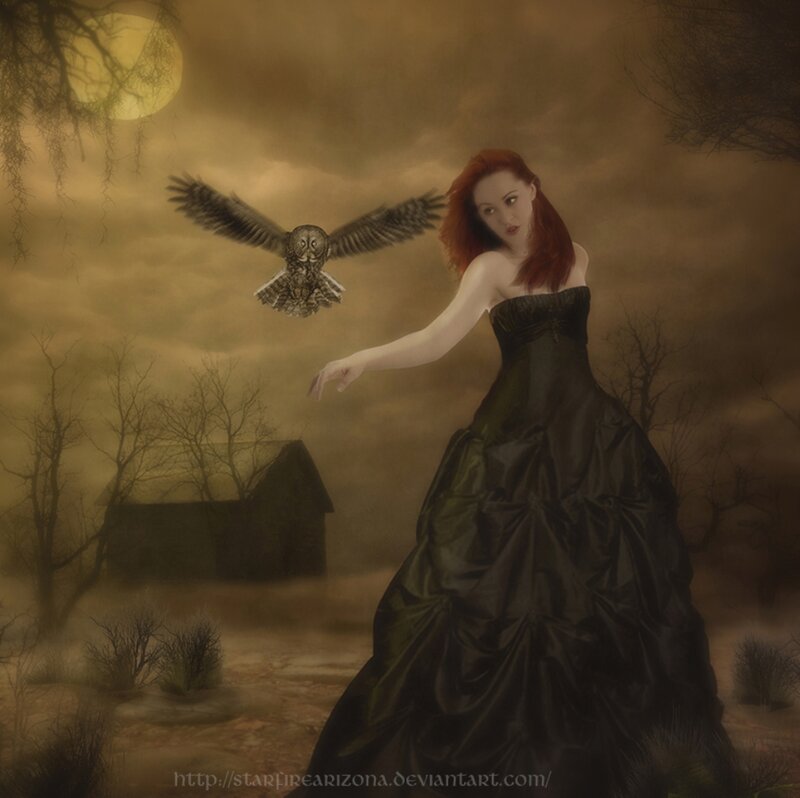 Woman in Black Dress — Dramatic, Night, Digital Art, Owl