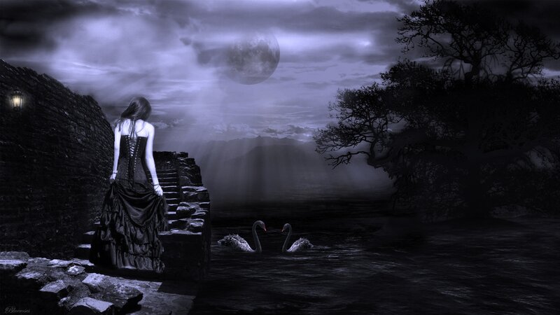 Woman in Black Dress — Dramatic, Night, Digital Art, Swans