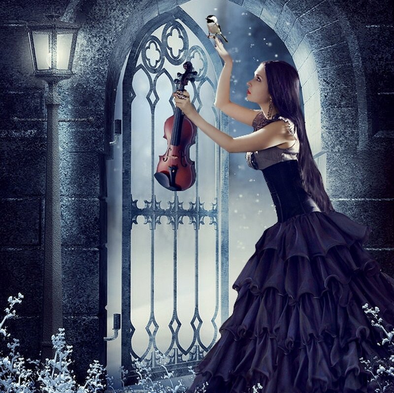 Woman in Black Dress — Dramatic, Night, Digital Art, Violin, Bird