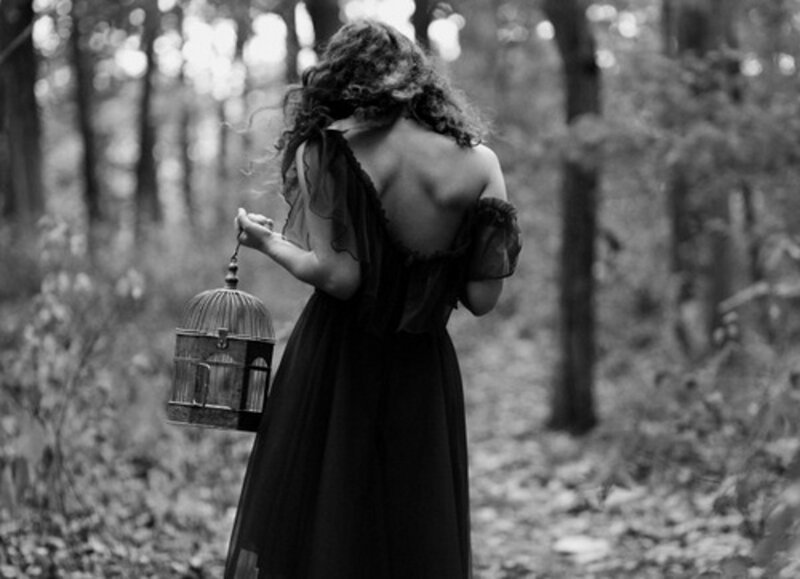 Woman in Black Dress — Dramatic, Photograph, Birdcage, Forest