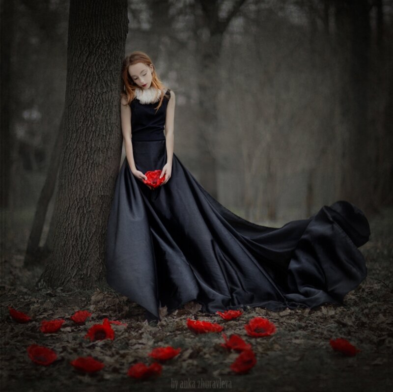 Woman in Black Dress — Dramatic, Photograph, Tree, Red Flowers