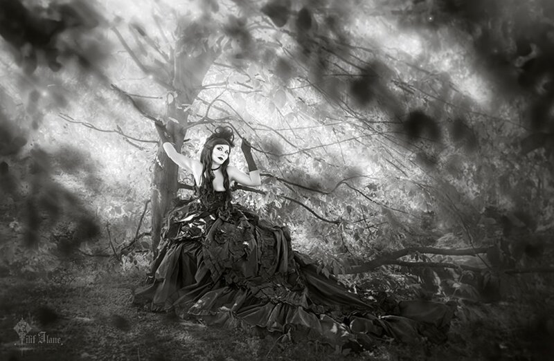 Woman in Black Dress — Dramatic, Photograph, Tree