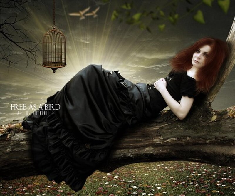 Woman in Black Dress — Dramatic, Sunset, Digital Art, Birdcage