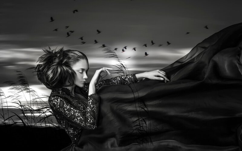 Woman in Black Dress — Dramatic, Sunset, Digital Art, Birds, Grass