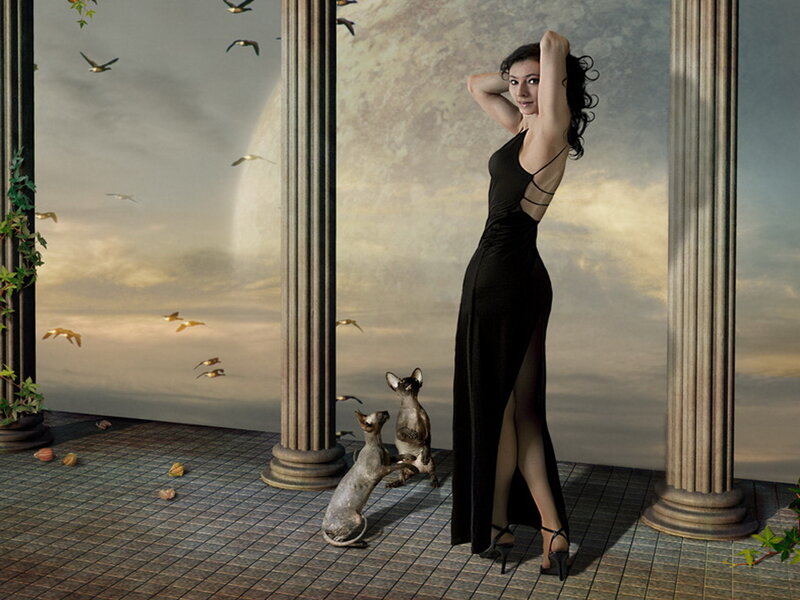 Woman in Black Dress — Dramatic, Sunset, Digital Art, Cats