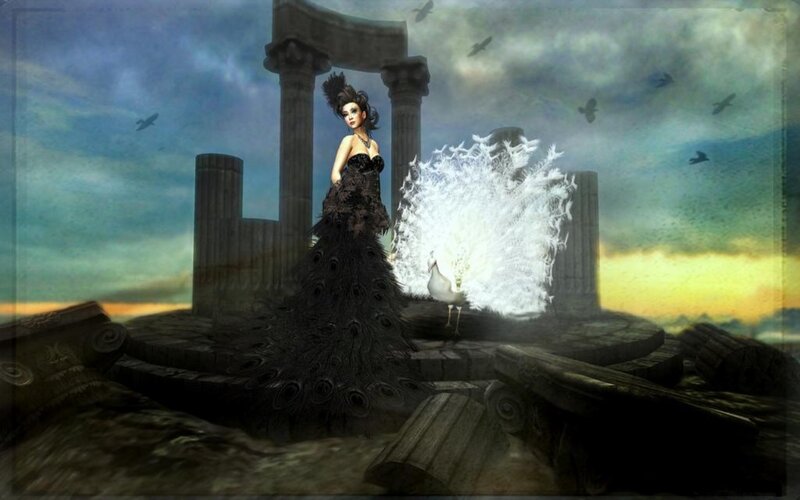 Woman in Black Dress — Dramatic, Sunset