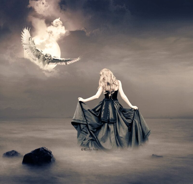 Woman in Black Dress — Gray, Dramatic, Night, Digital Art, Owl