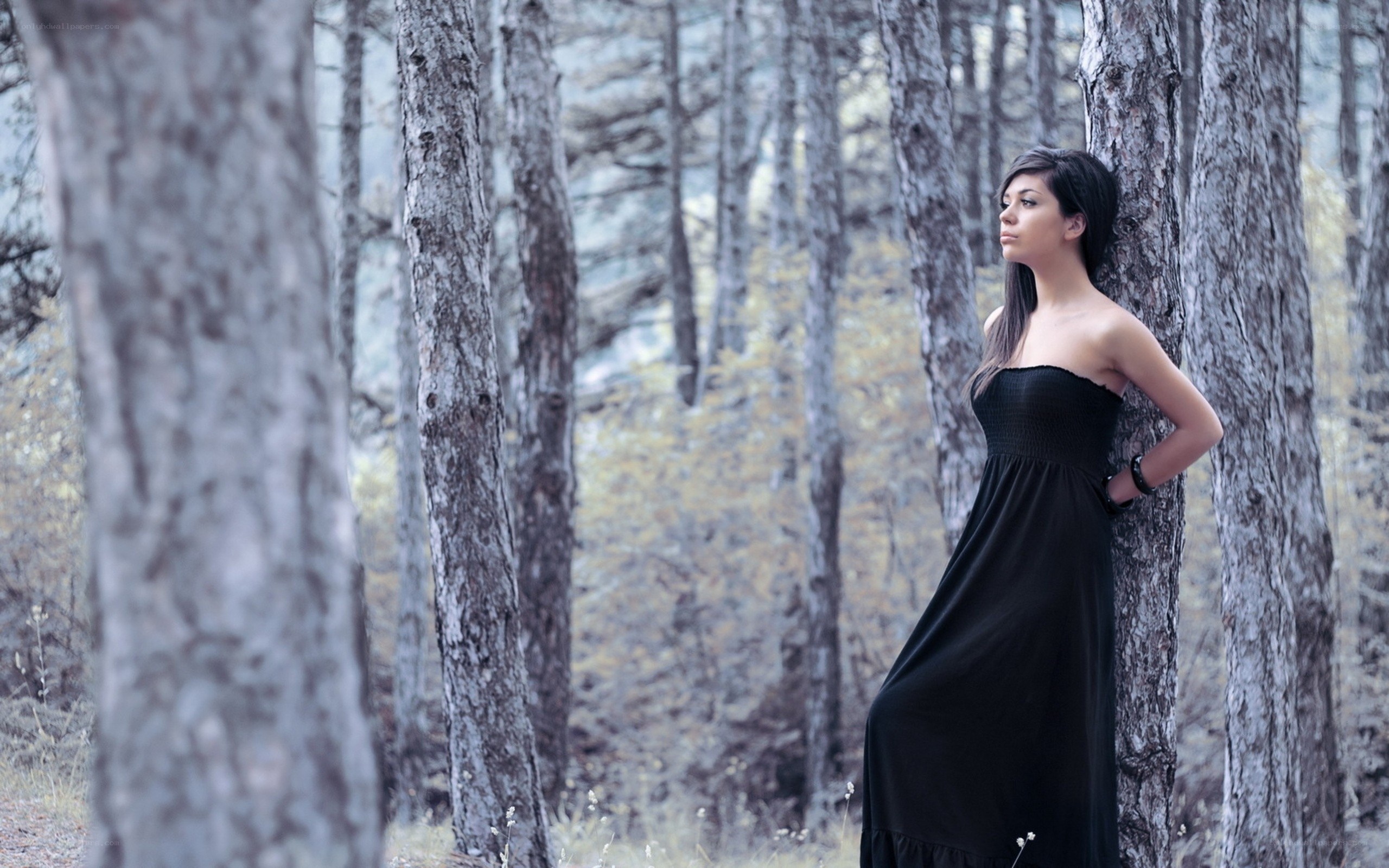 woman in black dress in forest