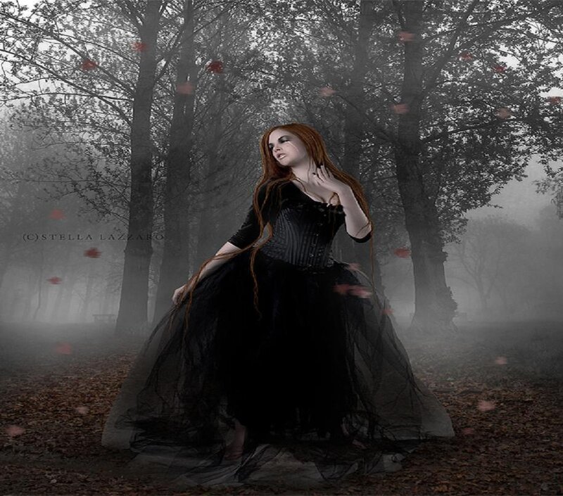 Woman in black dress in misty forest