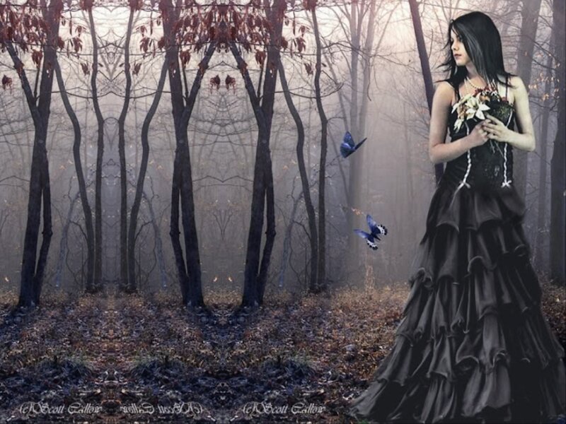 Woman in Black Dress — Mysterious, Autumn