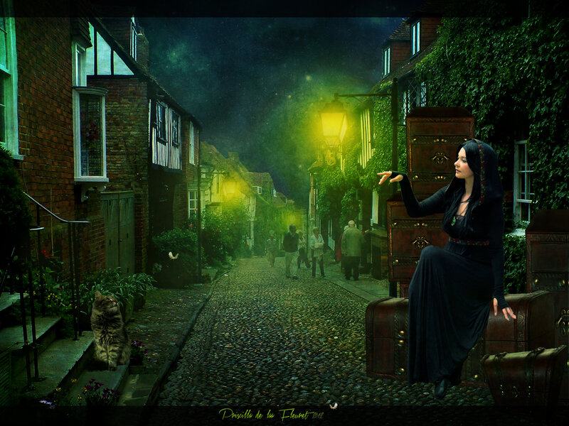 Woman in Black Dress — Mysterious, Night, Digital Art, Cat
