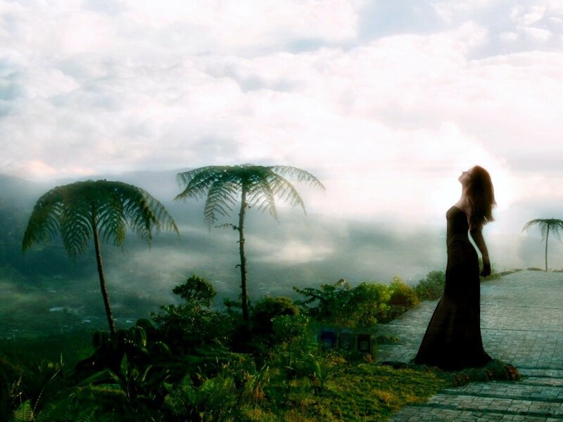 Woman in black dress on a misty hill