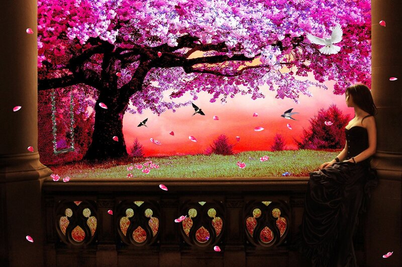 Woman in Black Dress — Pink, Serene, Sunset