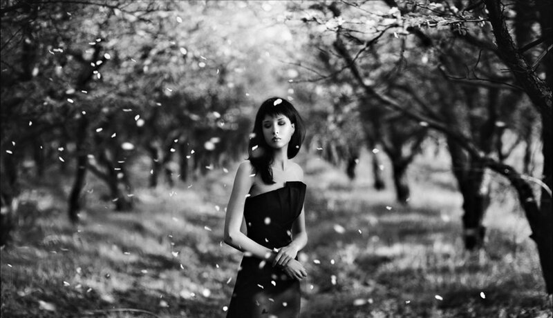 Woman in Black Dress — Serene, Spring, Photograph