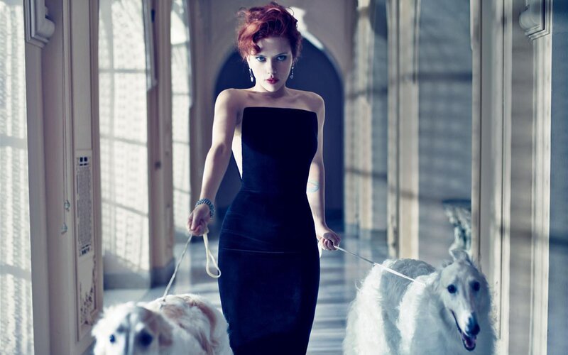 Woman in black dress with dogs