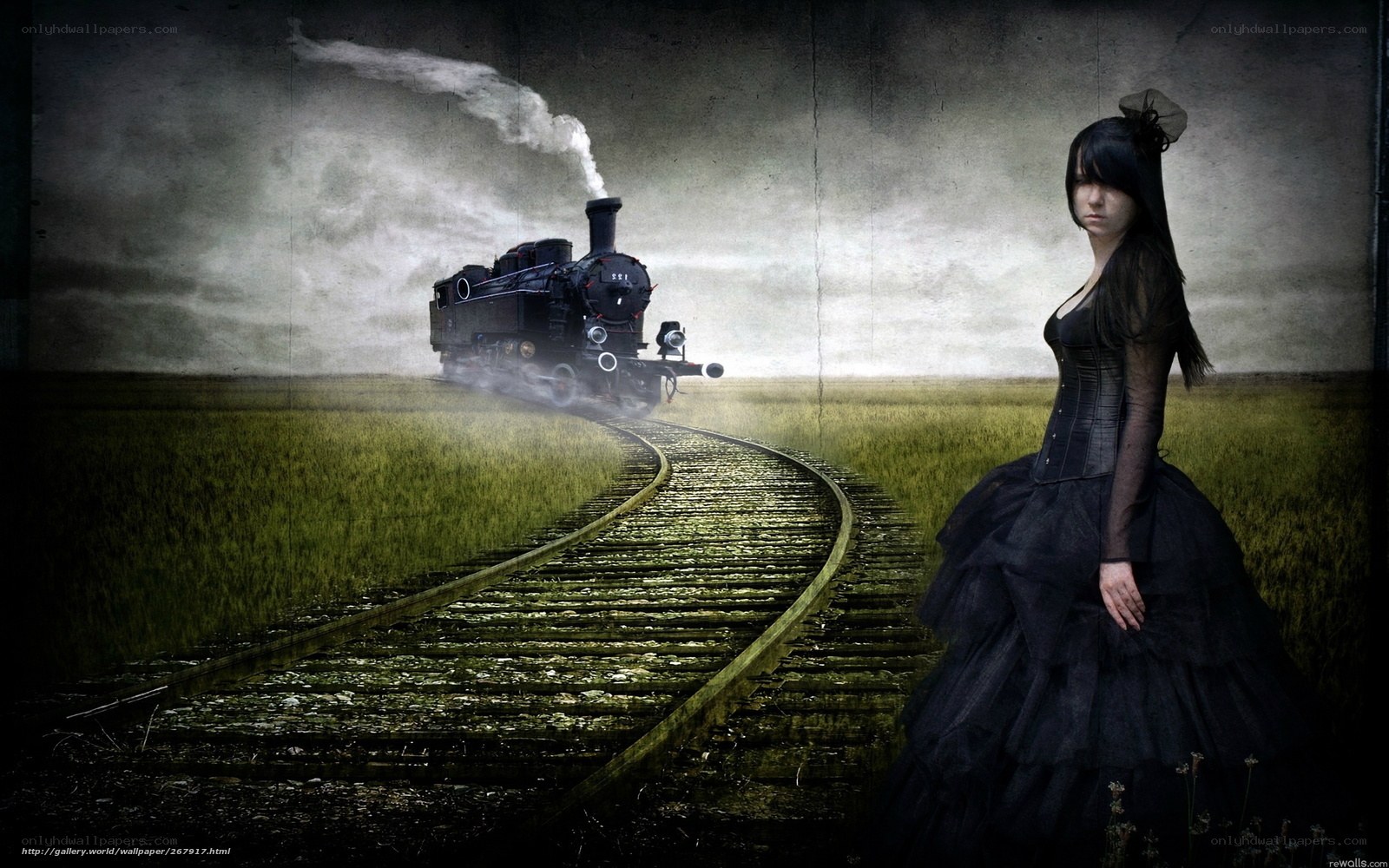 woman in black dress with train