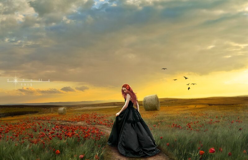 Woman in Black Dress — Yellow, Dramatic, Sunset