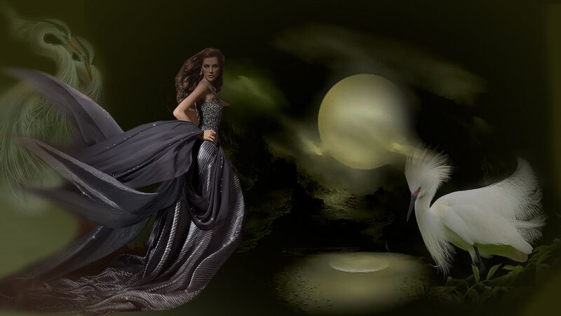Woman in Black Gown — Dramatic, Night