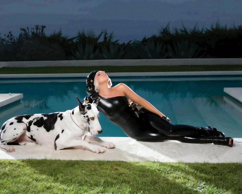 Woman in Black Suit — Dramatic, Night, Photograph, Dog