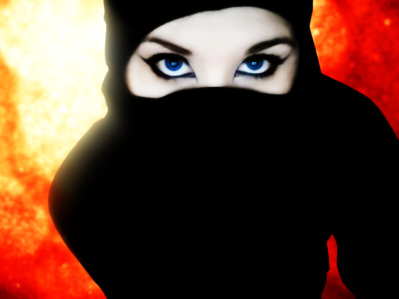 Woman in Black Veil — Red
