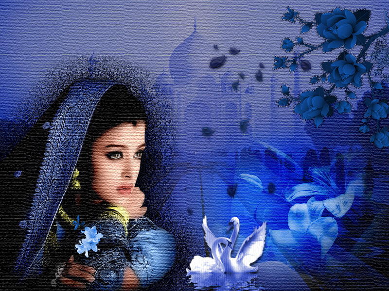 Woman in Blue Attire — Dreamy