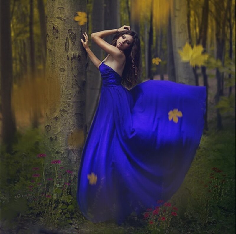 Woman in Blue Dress — Dramatic, Autumn, Photograph, Forest, Tree