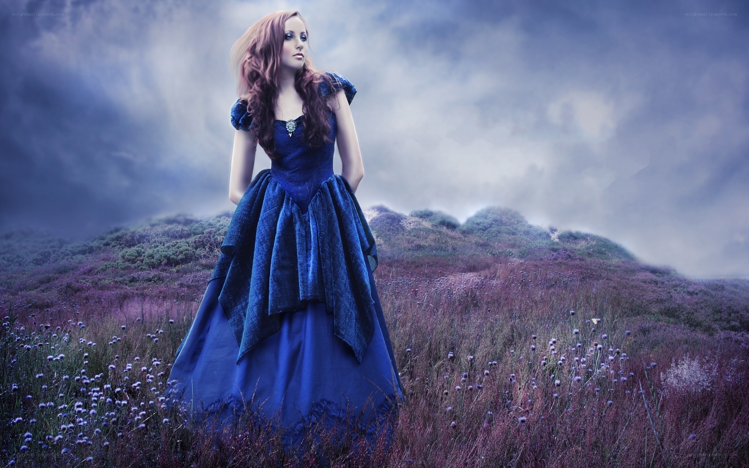 woman in blue dress in field
