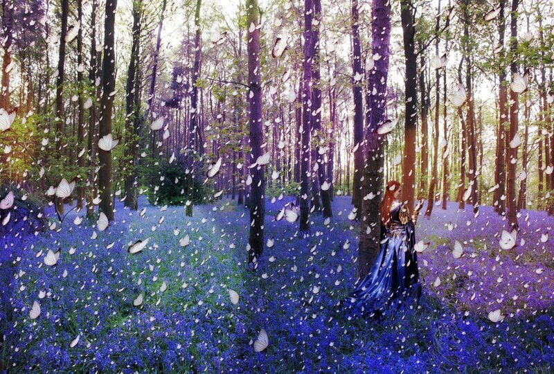 Woman in Blue Dress — Purple, Serene
