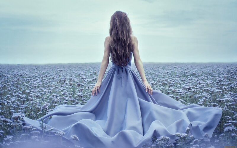 Woman in Blue Dress — Serene, Afternoon, Photograph, Field of Flowers, Long Hair